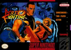 Art of Fighting | (LS) (Super Nintendo)